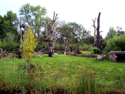 Außenanlage Pongoland