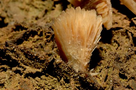 Barytine3 (Maroc)