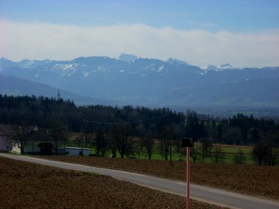 Baum mitten i.d.Welt Pano6 Großer Priel, Schermberg, Kremsmauer 48.47