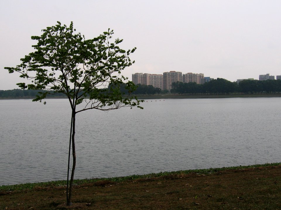 Bedok Reservoir 3, Oct 06