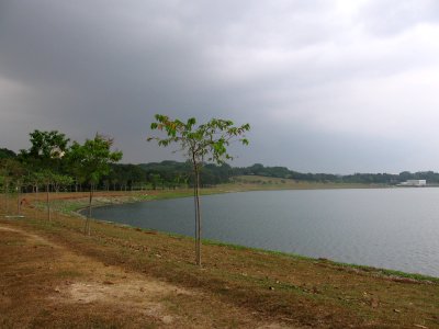 Bedok Reservoir 2, Oct 06 photo