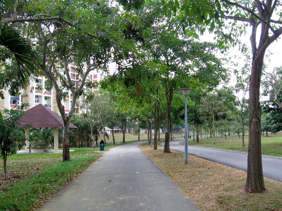 Bedok Town Park 2, Oct 06