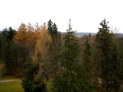 Bialowieza National Park