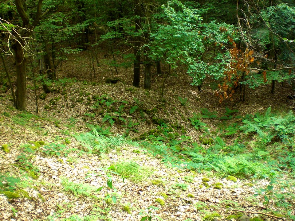 Blankenau - Burg Blankenwald; Wall-Graben-System im Süden der Anlage