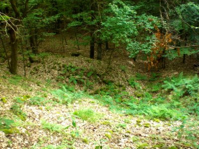 Blankenau - Burg Blankenwald; Wall-Graben-System im Süden der Anlage