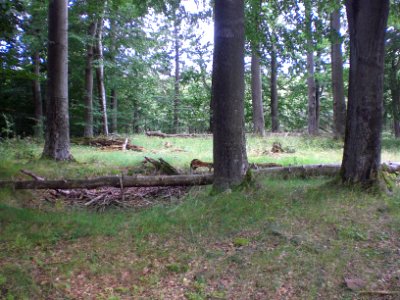 Blankenau; Übersicht über das Plateau am Burgstall