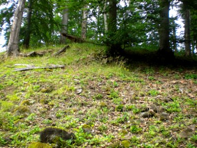 Blankenau; Burg Blankenwald - Böschung des Burgstalls