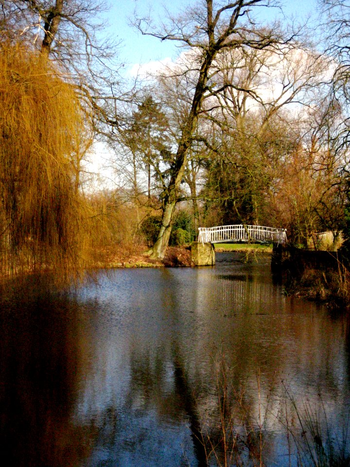 Blick auf den Teich und die Brücke im Park der Angelaschule