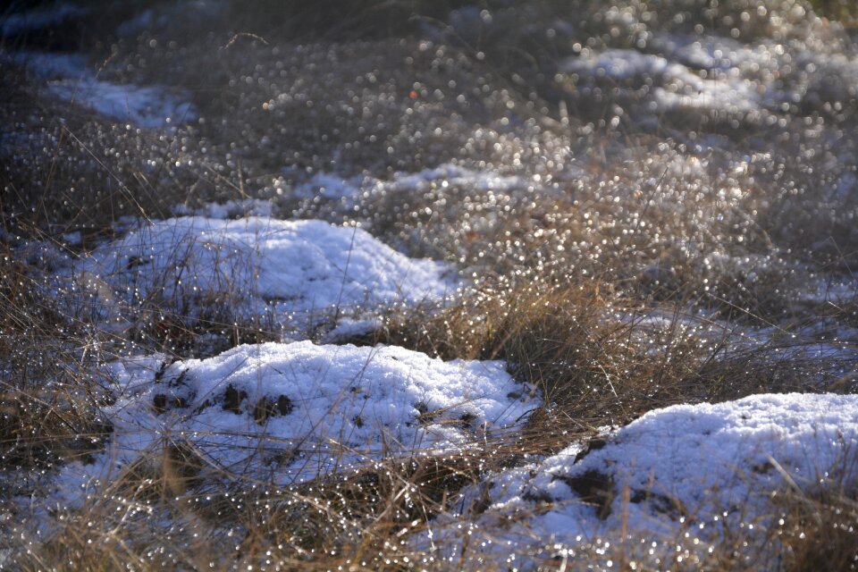 Winter cold frosty photo