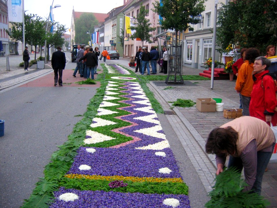 Blumenteppich 2007 008