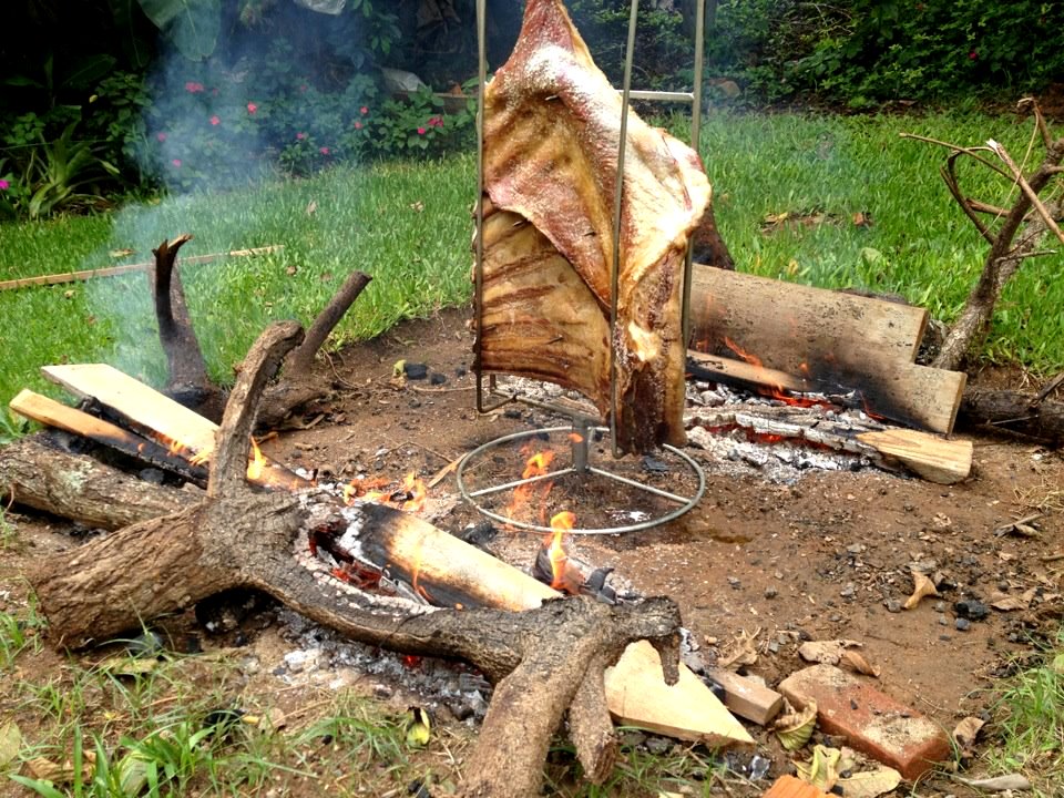 Brazilian Costella