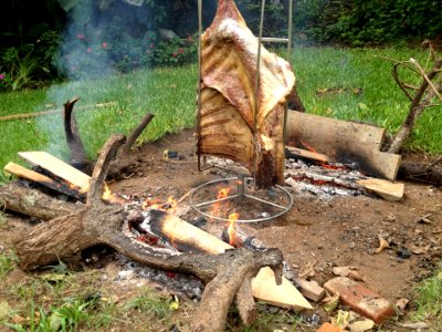 Brazilian Costella
