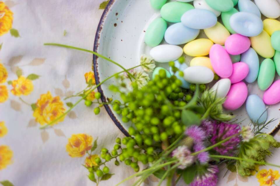 Candy flowers plants