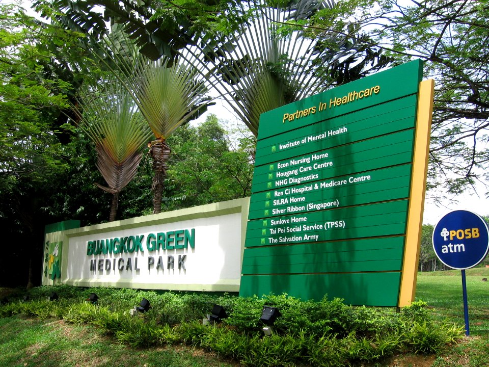 Buangkok Green Medical Park, Nov 06