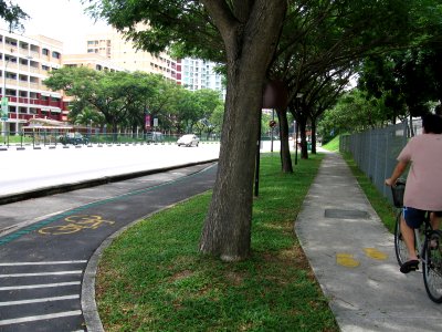 Buangkok Park Connector 2, Nov 06