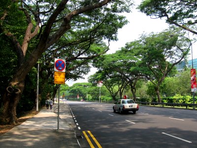 Bukit Timah Road 4, Aug 06