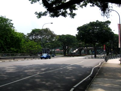 Bukit Timah Road 3, Aug 06 photo