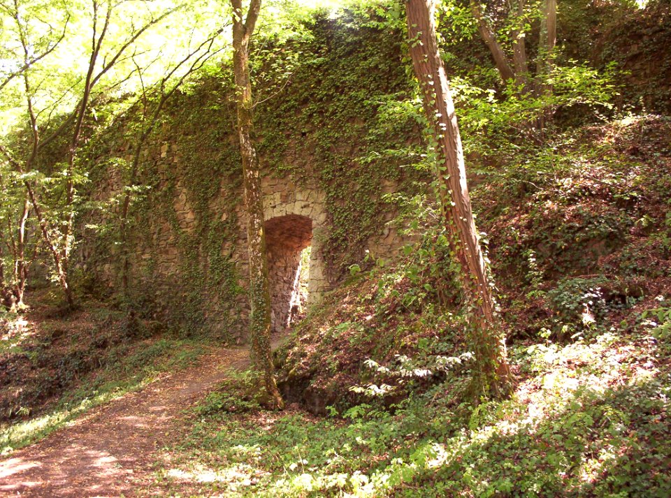 Burg hauenstein 2003