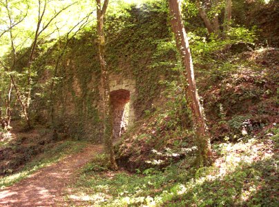 Burg hauenstein 2003