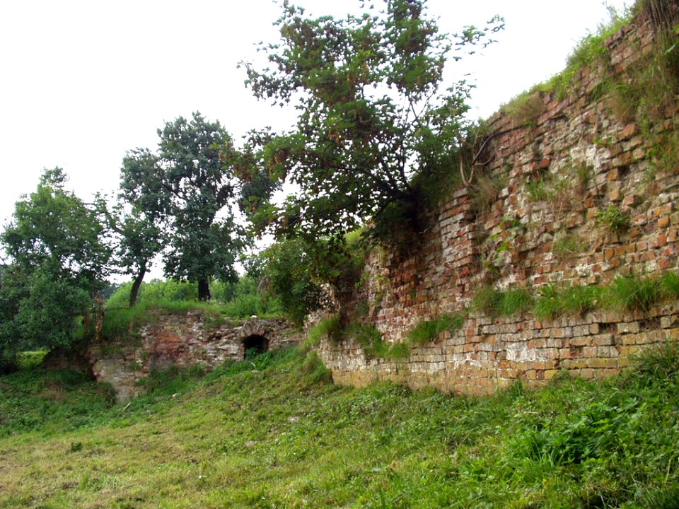 Burgwall-zu-Neuhaus-Elbe