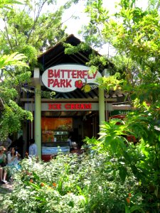 Butterfly Park and Insect Kingdom, Sentosa, Aug 06 photo