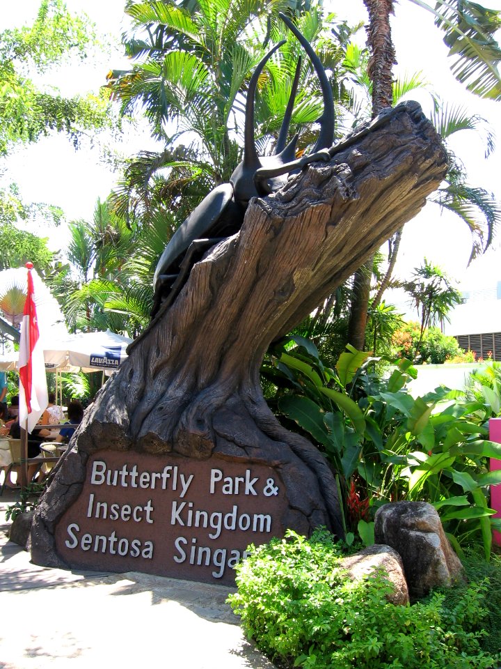 Butterfly Park and Insect Kingdom 4, Sentosa, Aug 06