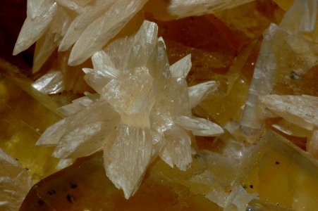 Calcite sur fluorine jaune2 (USA)