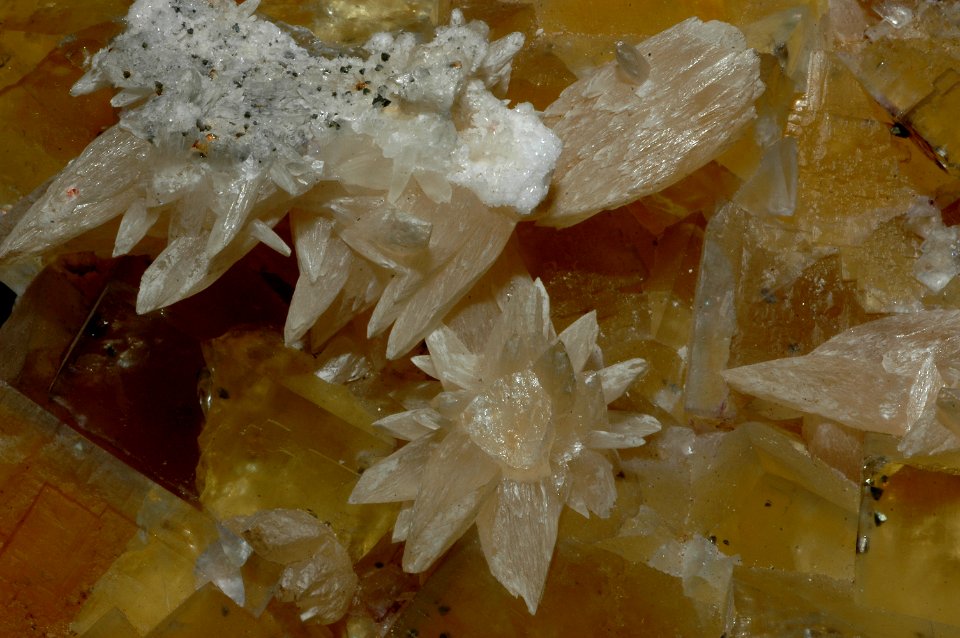 Calcite sur fluorine jaune1 (USA)