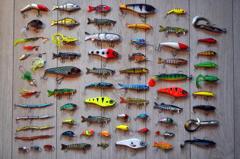 Fish fisherman sport