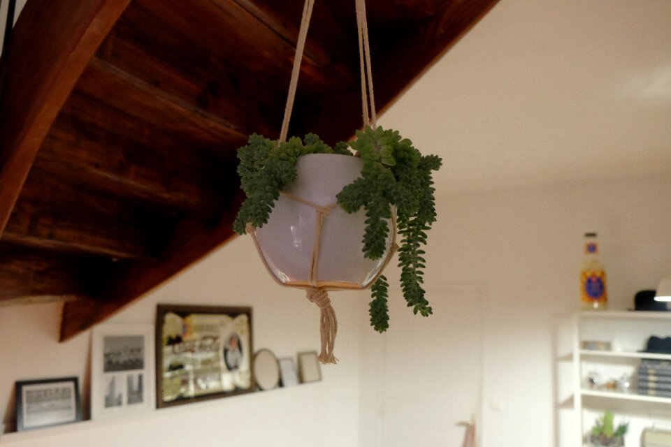 Decor hanging ropes