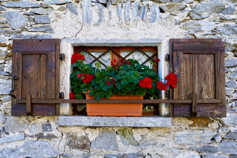 Facade architecture house