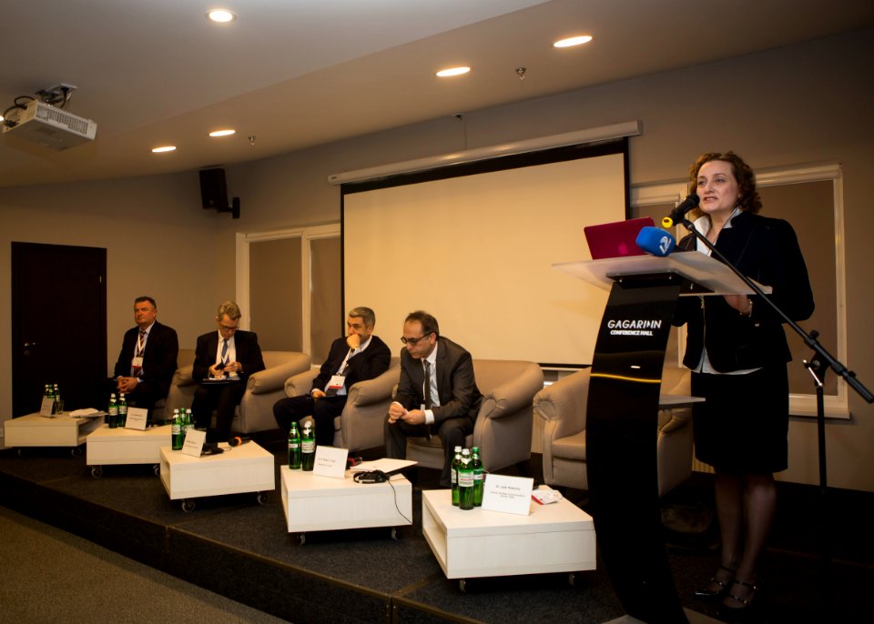 Ambassador Pyatt at the “Hybrid Solutions for Security in the Black Sea Region” Conference, Odesa, March 24, 2016 (26081500441)
