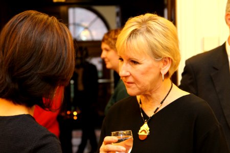 Ambassador Raji's Welcom Reception (25577181950)