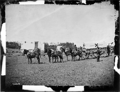 Ambulance of 6th Corps - NARA - 524827 photo