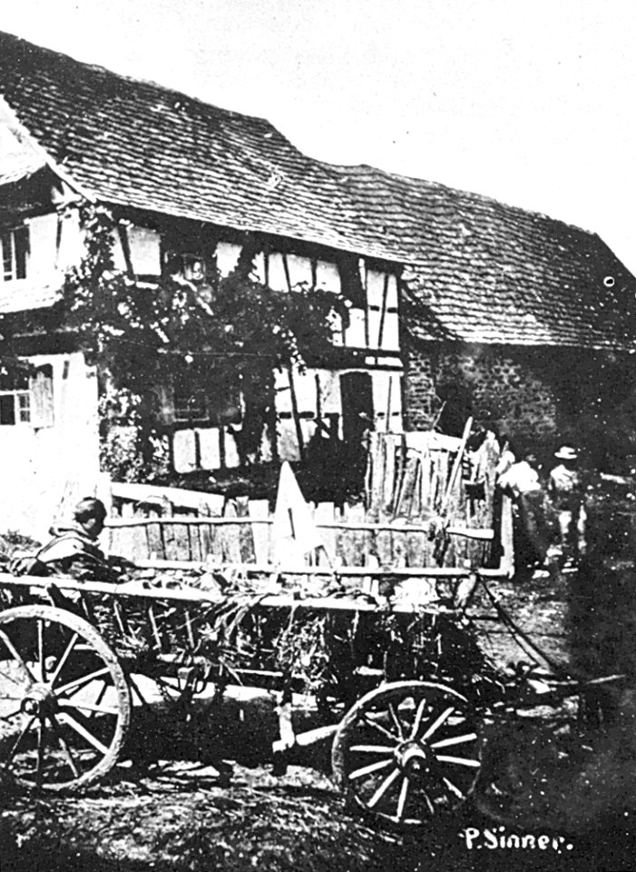 Ambulanz zu Fröschweiler August 1870 - Wagen mit Schwerverwundeten