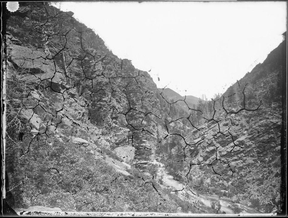 American (Fork) Canyon. Wahsatch Mountains, Utah - NARA - 519517
