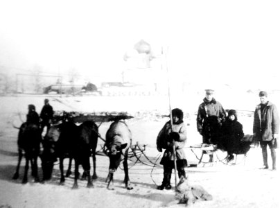 American Army officers with reindeer team near Archangel Prestin, WWI (31981831444) photo