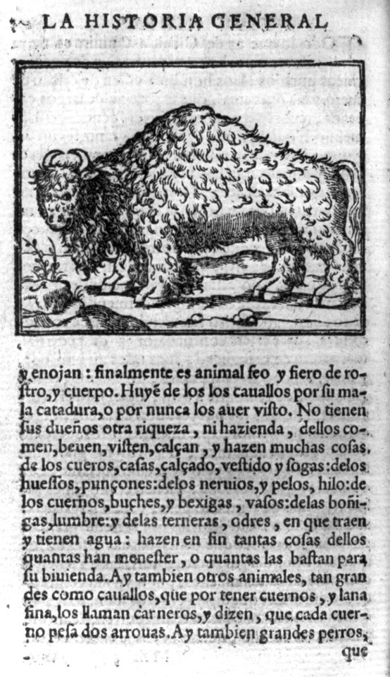 American Bison; illus. on full page with descriptive text in Spanish LCCN2006677962