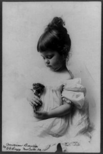American beauties LCCN97511375