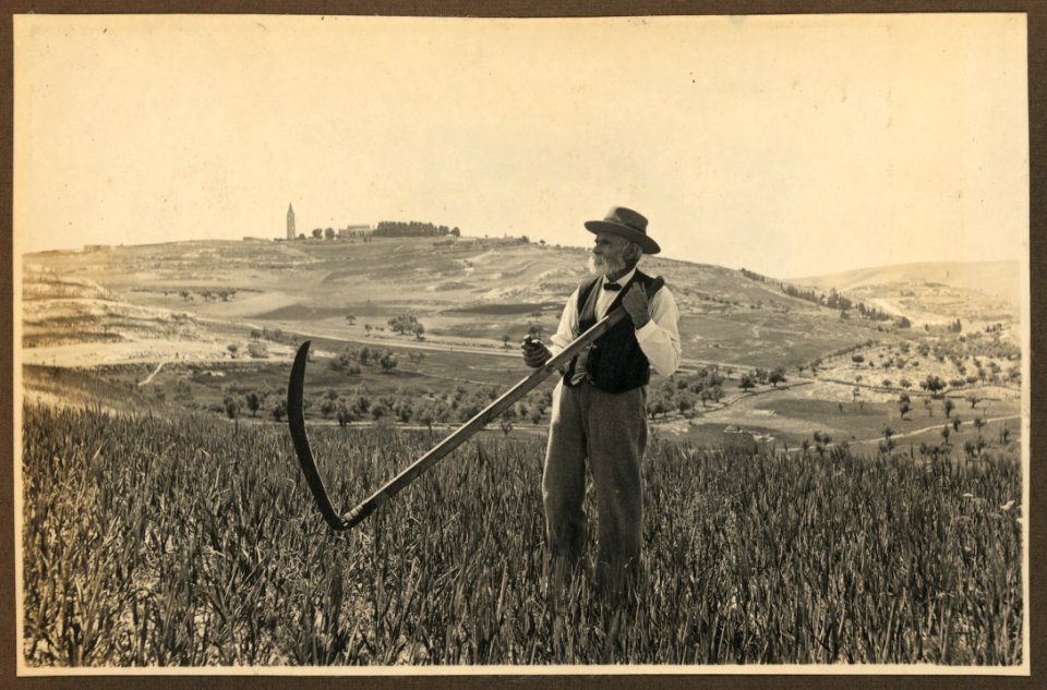 American Colony member Josef Larsson, standing in field on Mount Scopus, holding scythe, Jerusalem LCCN2007675268