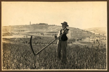 American Colony member Josef Larsson, standing in field on Mount Scopus, holding scythe, Jerusalem LCCN2007675268