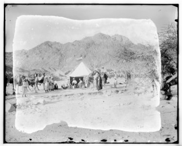 American Colony Photo Dept. expedition camp in the Sinai; Lewis Larsson seated at left in front of tent with others LOC matpc.07274