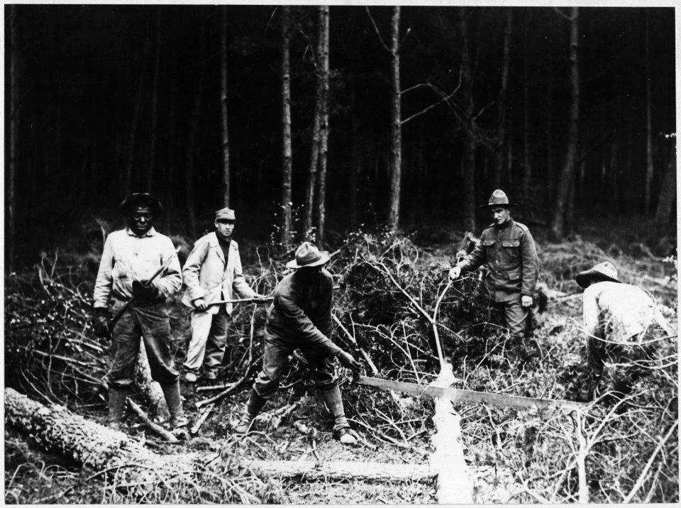 American Engineers In France. In the heart of a great forest the men are constantly felling trees t . . . - NARA - 533605