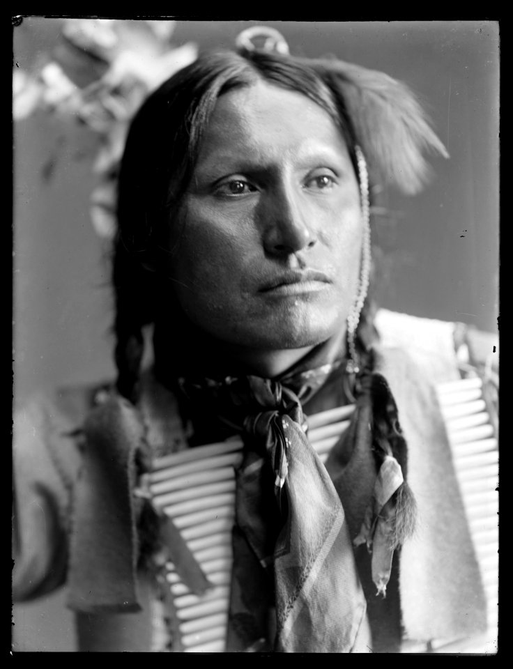 American Horse, American Indian LCCN2006679591
