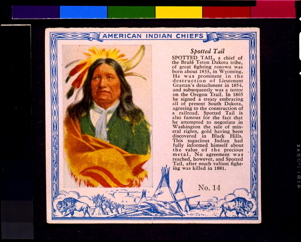 American Indian chiefs. Spotted Tail LCCN93511597