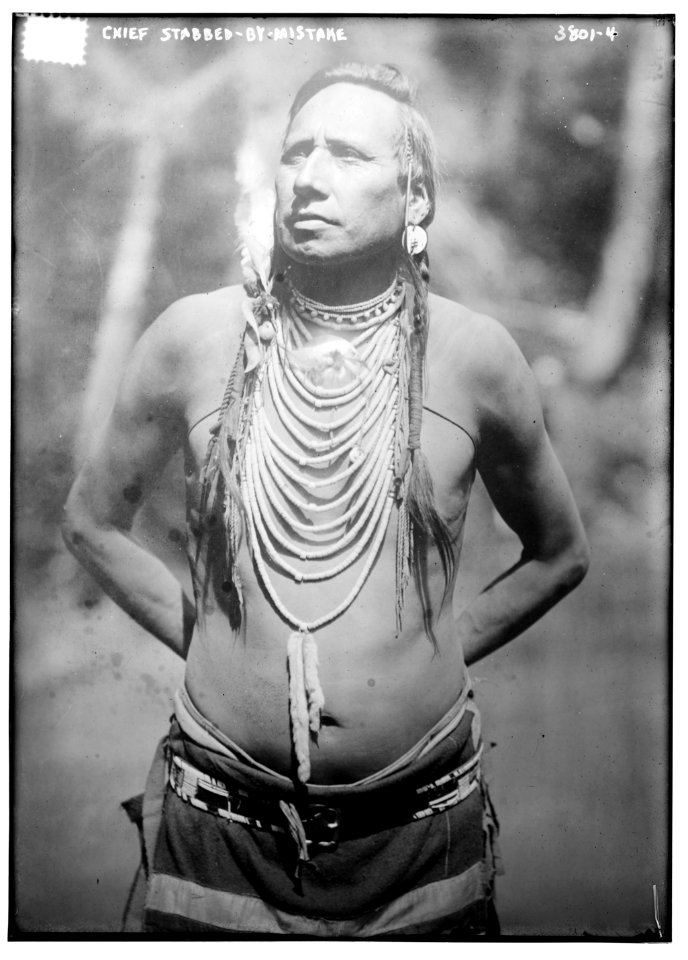 American Indian) Chief Stabbed-By-Mistake LCCN2014701310