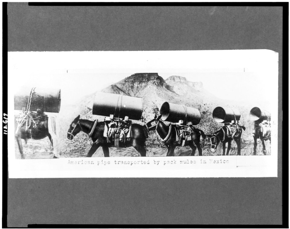 American pipe transported by pack mules in Mexico LCCN95502522