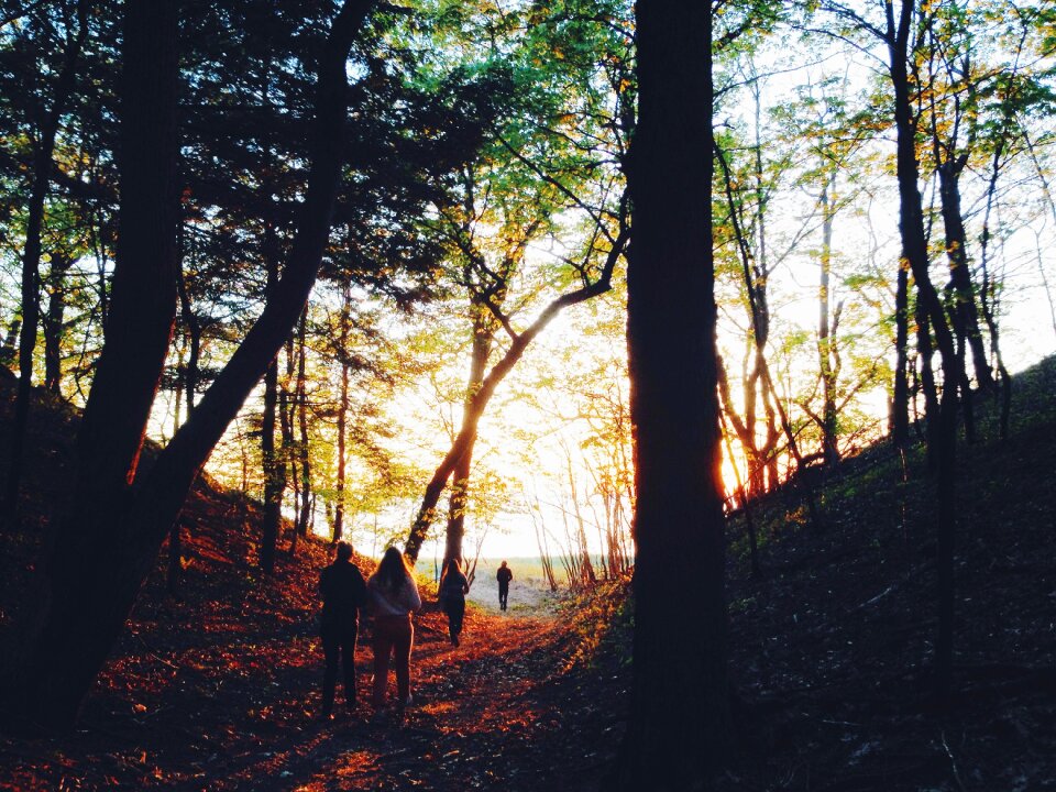 Walking trail path
