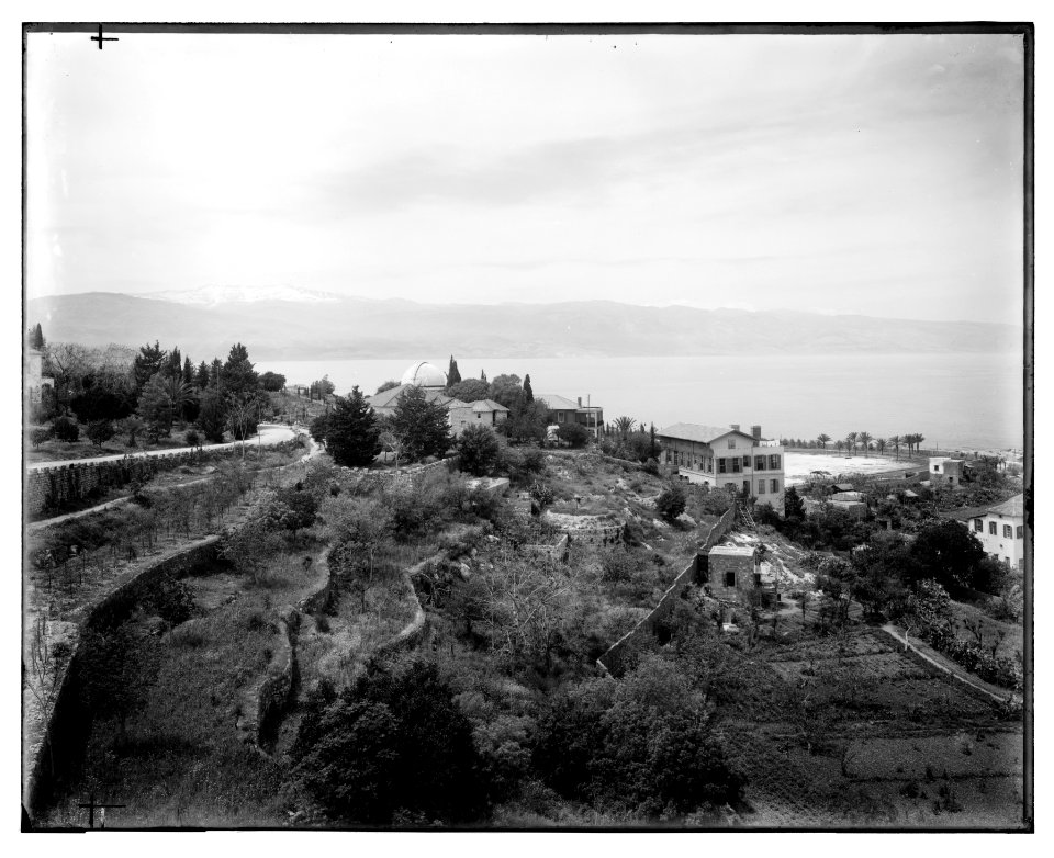 American University, Beirut LOC matpc.07114