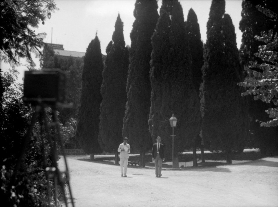 American University, Beirut, (A.U.B.). Campus showing the stately cypresses LOC matpc.15425
